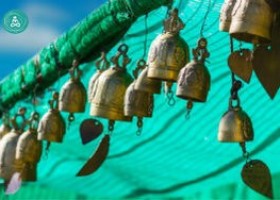 Yoga school Harlingen Studio Hoog en Droog