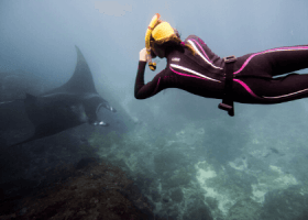 Yoga vakantie Bali - zee- 6 dgn