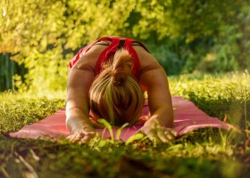 prive yogales in een park Privé yoga - alles over het volgen en geven van privé yogales - Wereld van Yoga