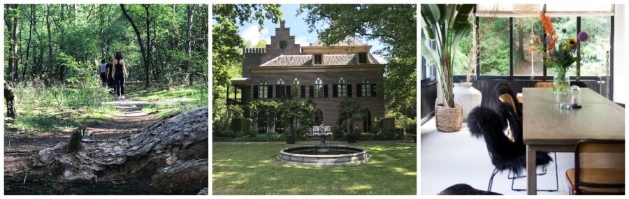 3 redenen yoga retreat 1 dag nederland locatie