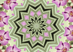 mandalas kleuren leuk meditatief Mandala's kleuren: leuk en meditatief! - Wereld van Yoga